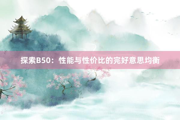 探索B50：性能与性价比的完好意思均衡